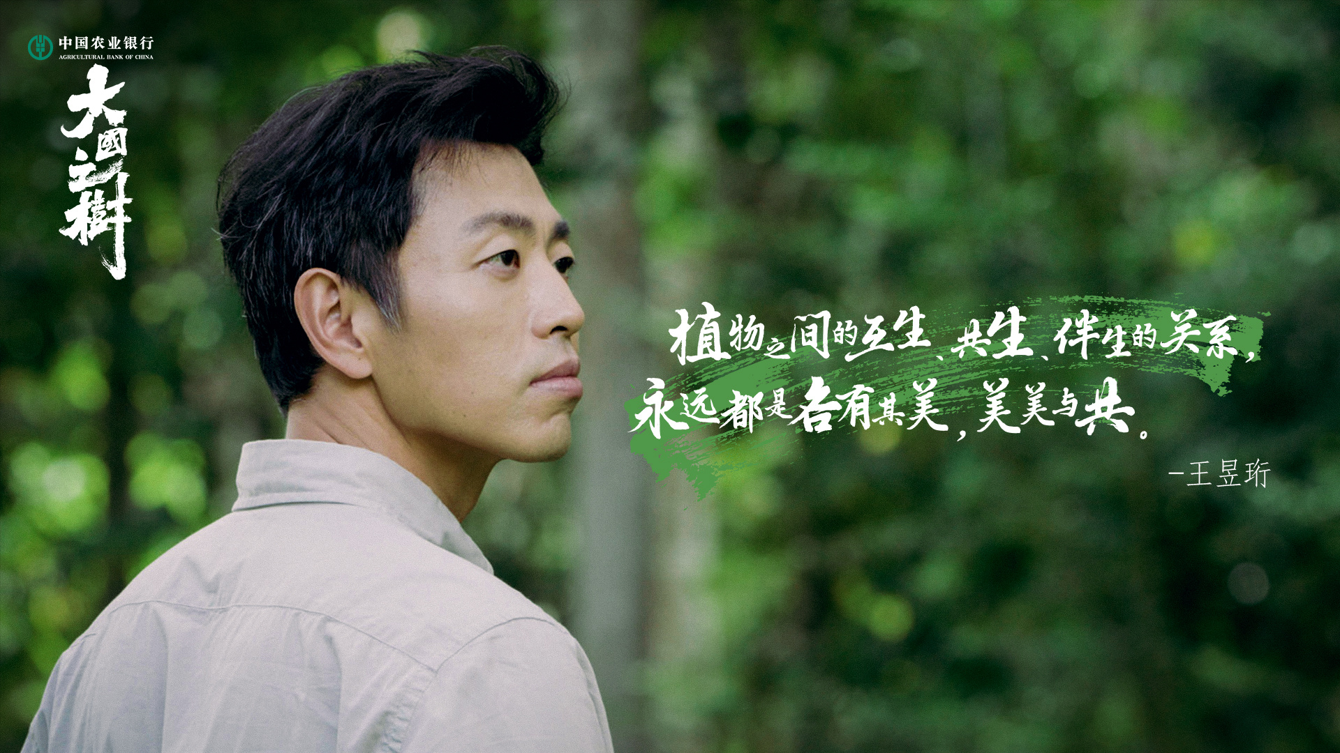 大国之树的海报-角色海报