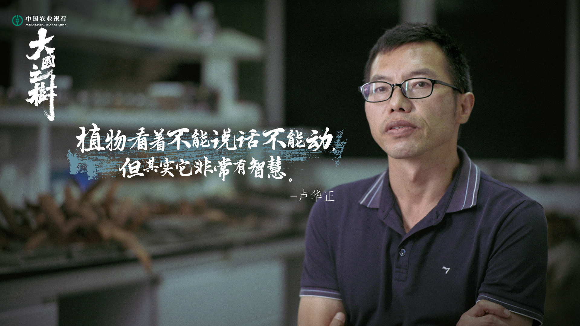 大国之树的海报-角色海报