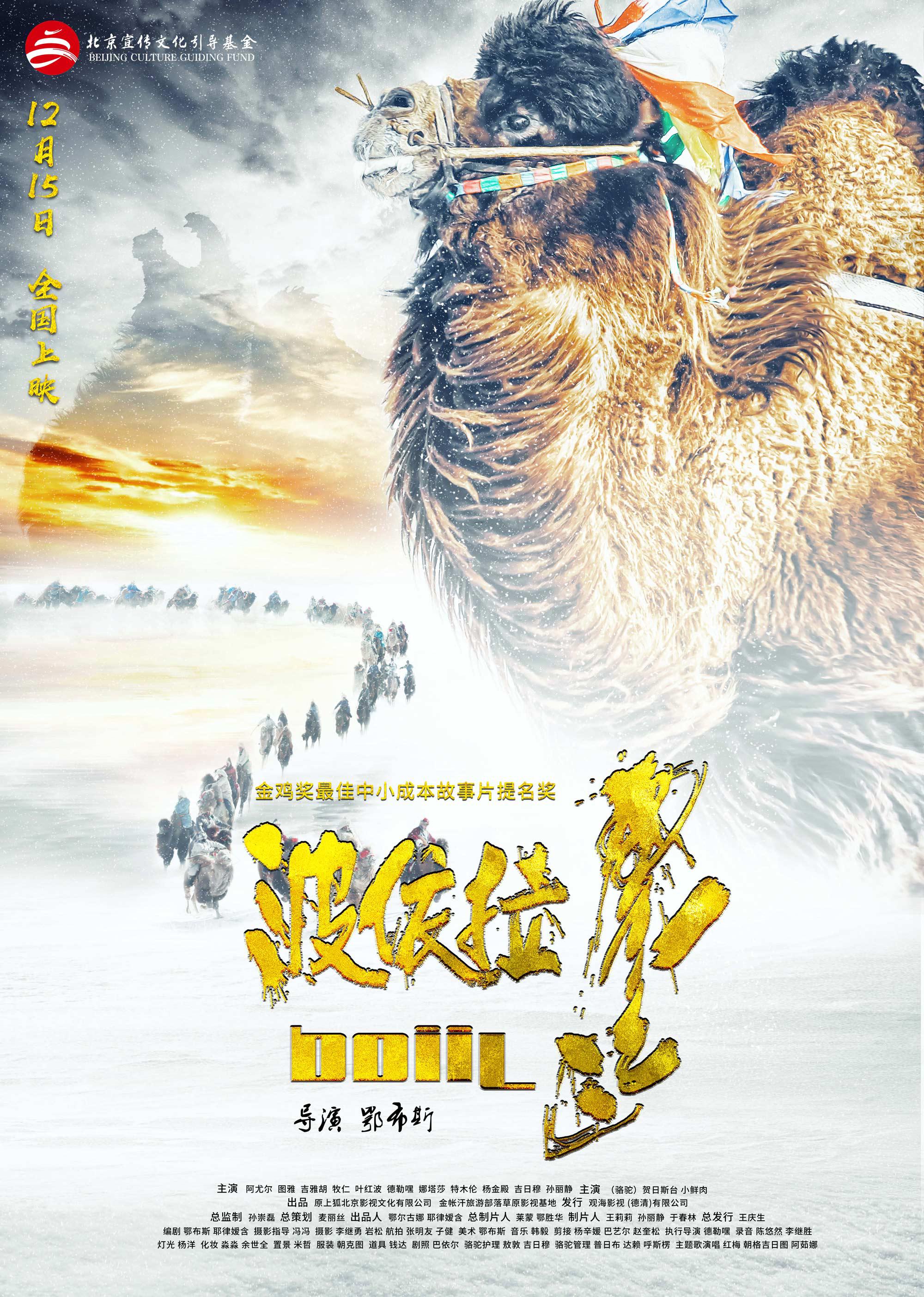 波依拉的海报-正式海报