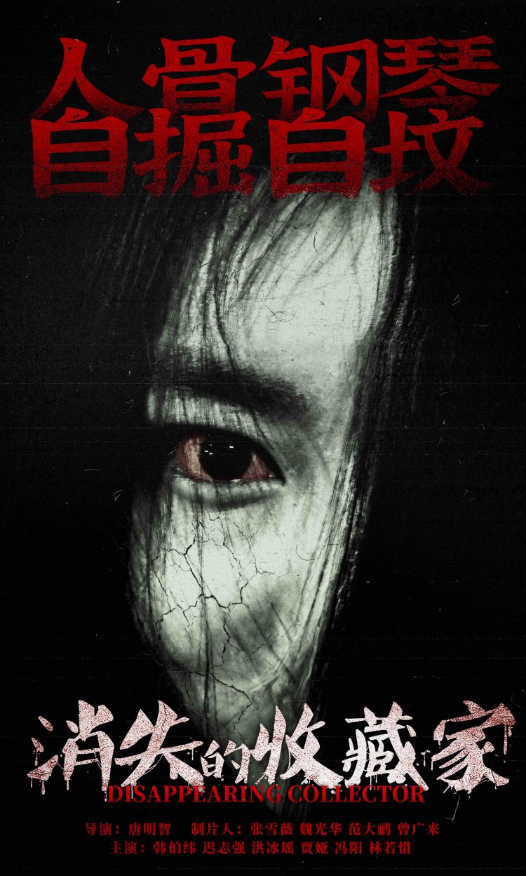 消失的收藏家的海报-正式海报 中国大陆