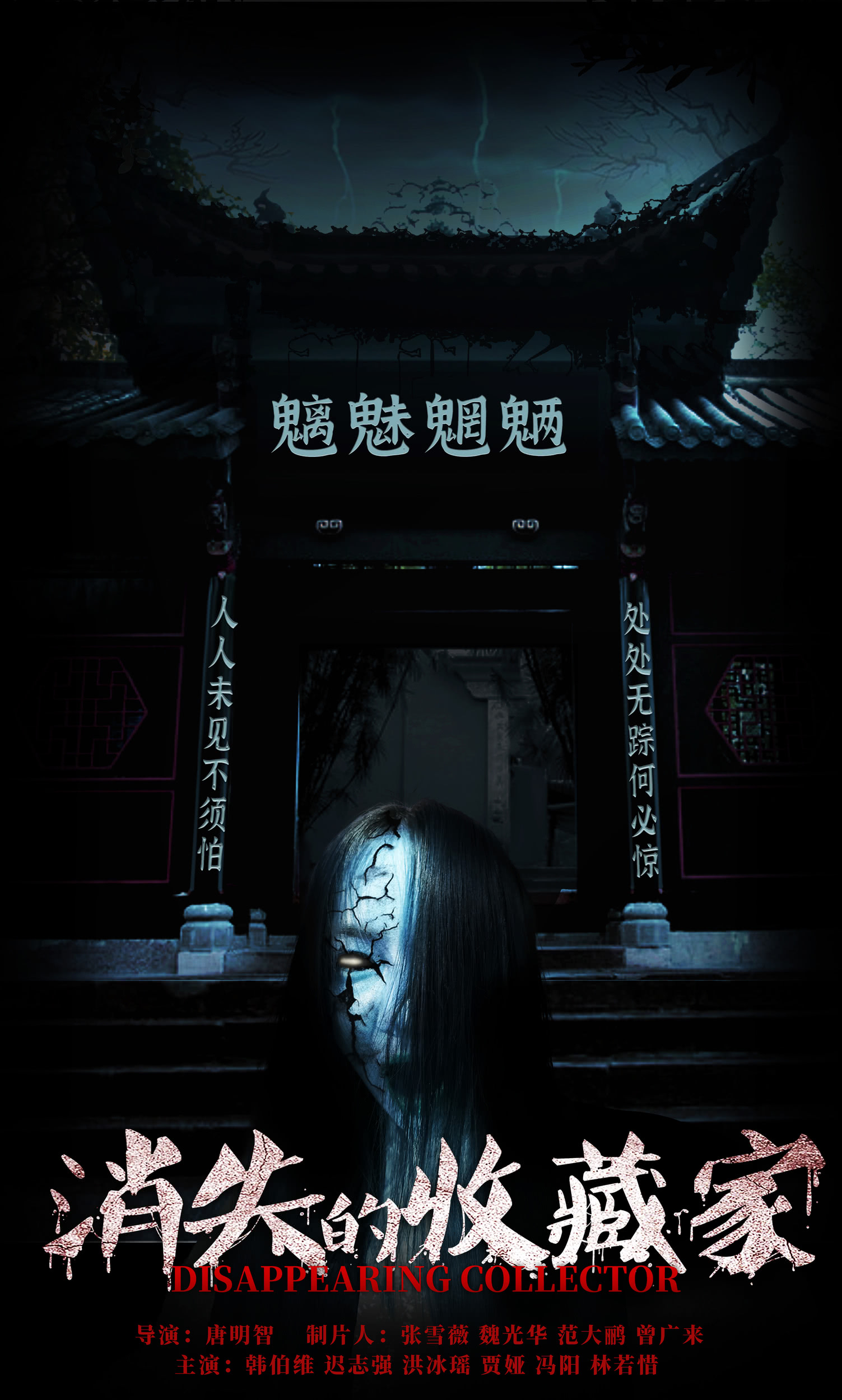 消失的收藏家的海报-正式海报 中国大陆