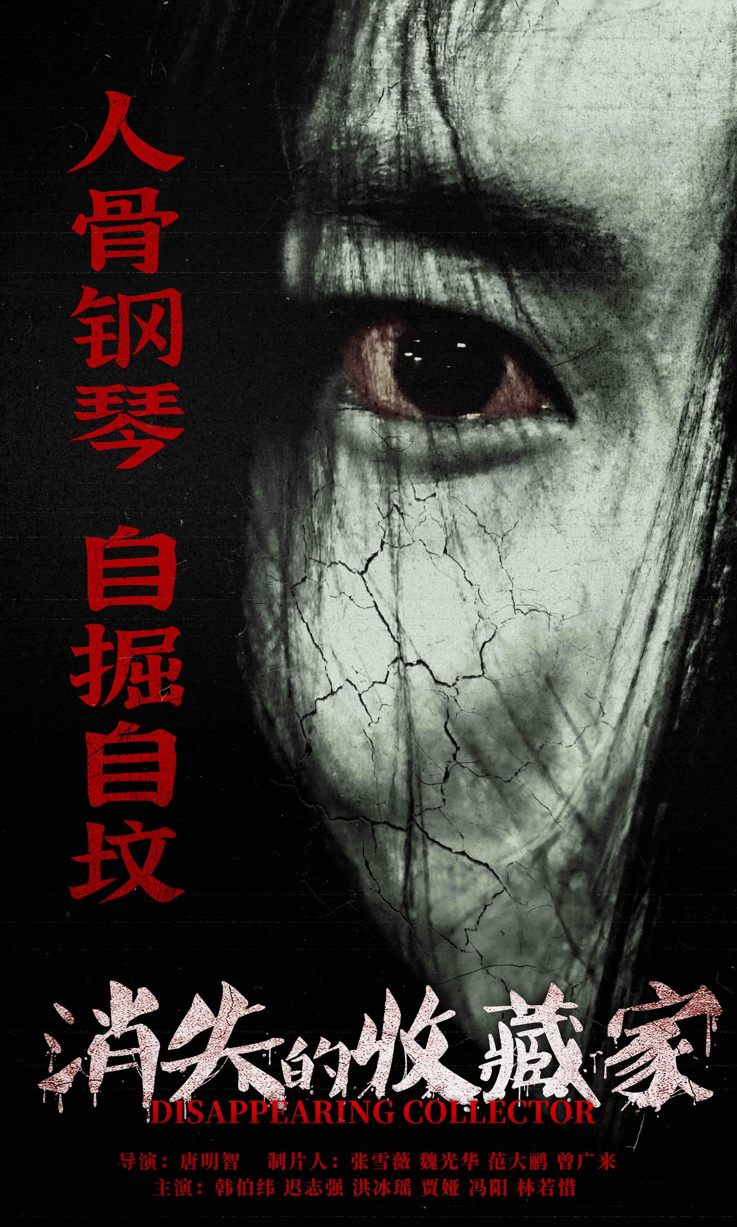 消失的收藏家的海报-正式海报 中国大陆