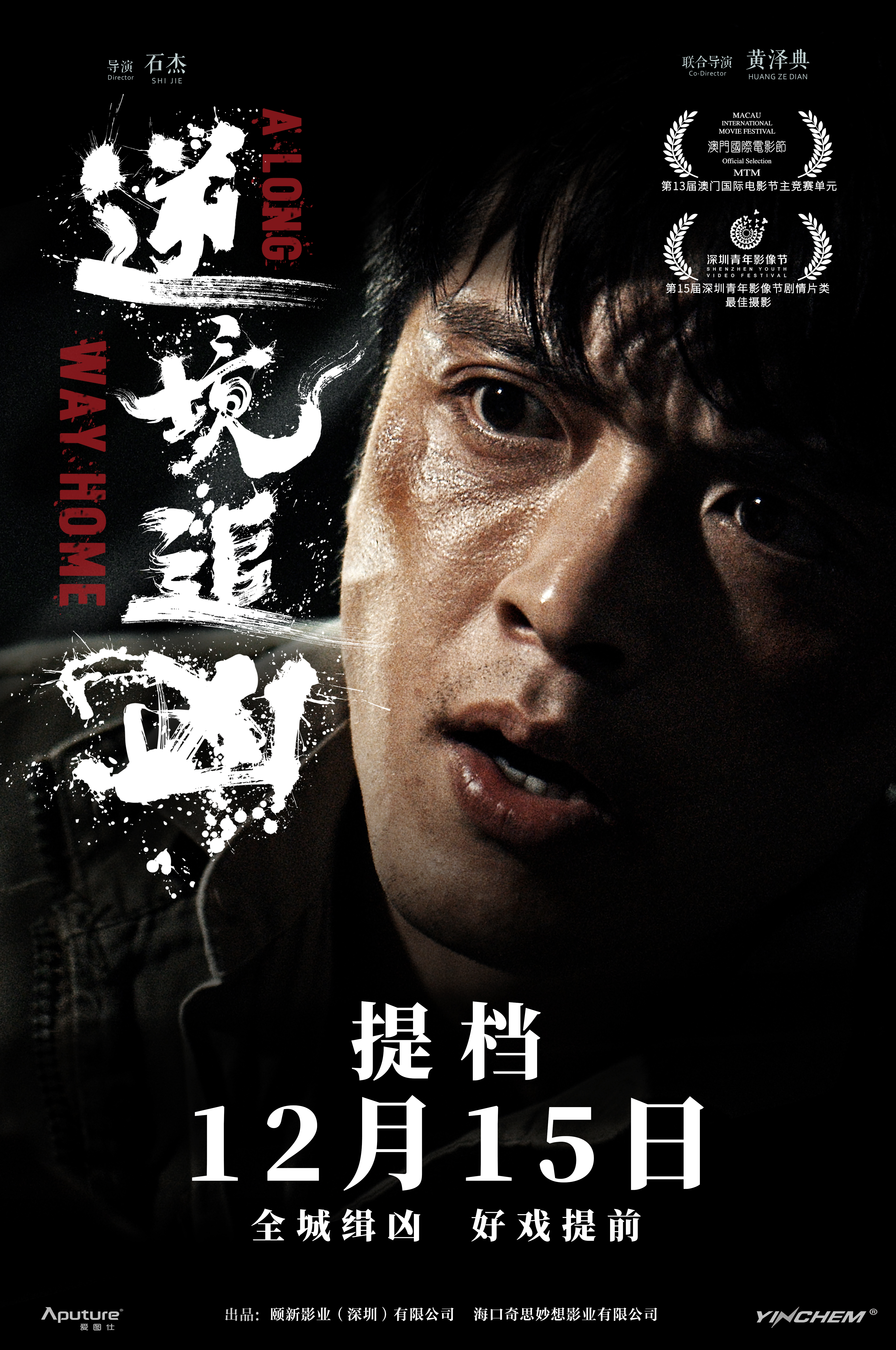 逆境追凶的海报-预告海报 中国大陆