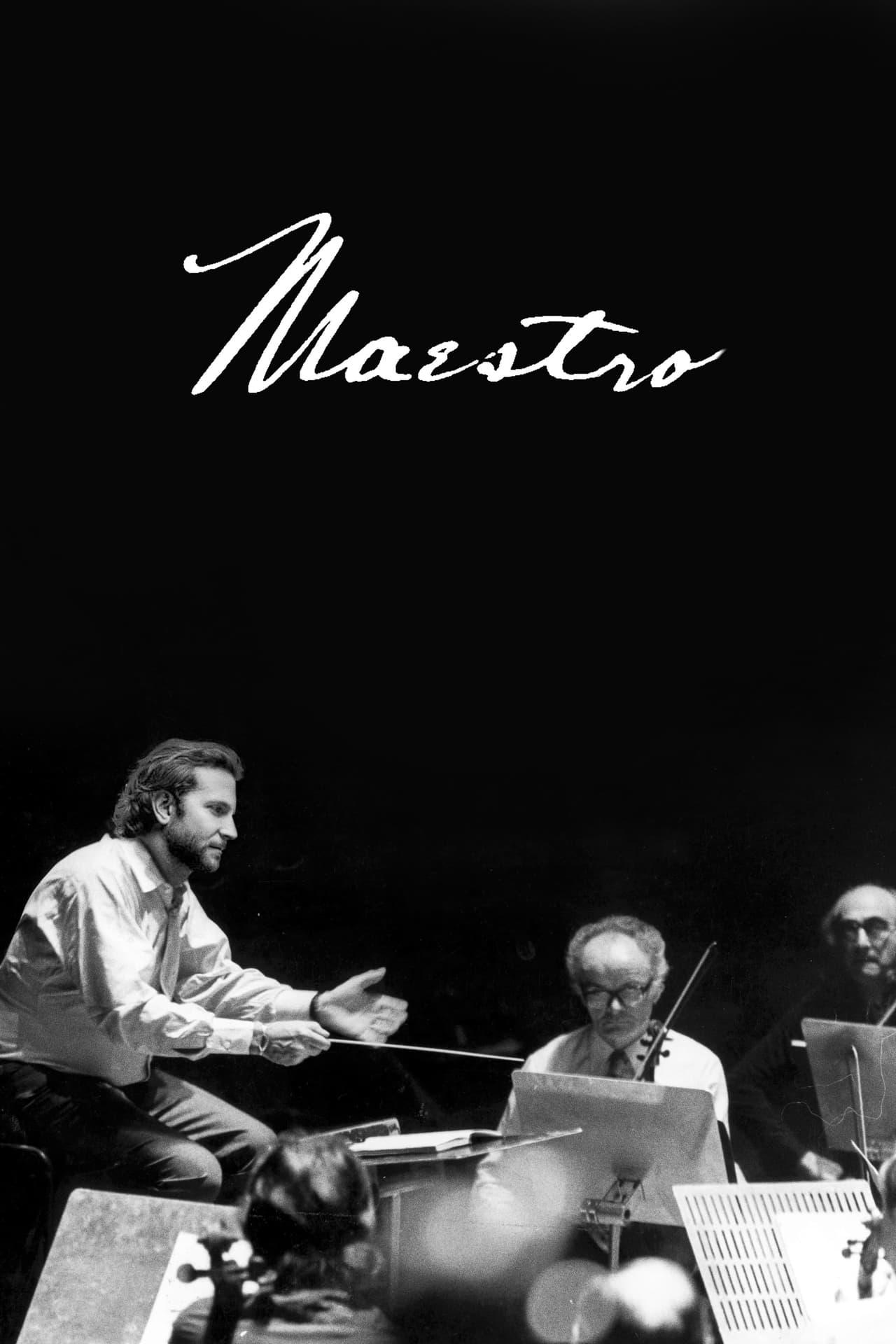 音乐大师的海报-其他海报