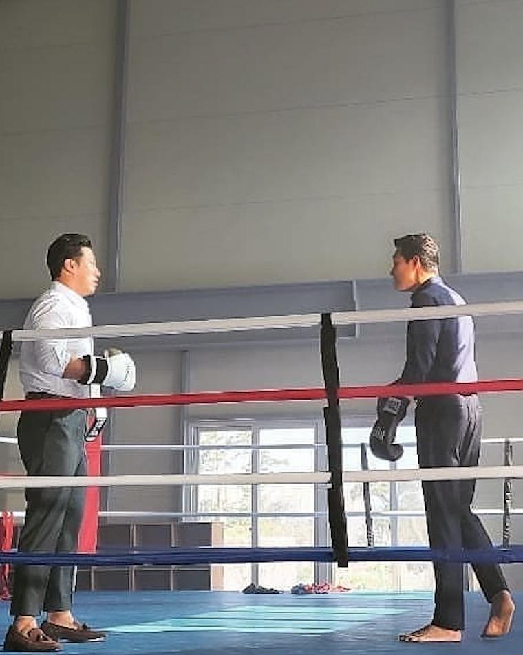 The Wild：野兽们的战争的海报-正式海报