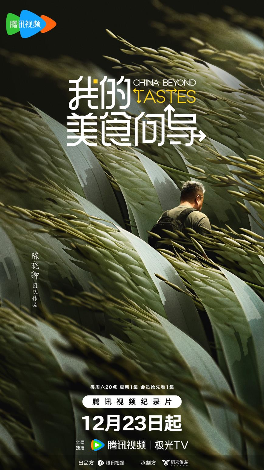 我的美食向导的海报-正式海报 中国大陆