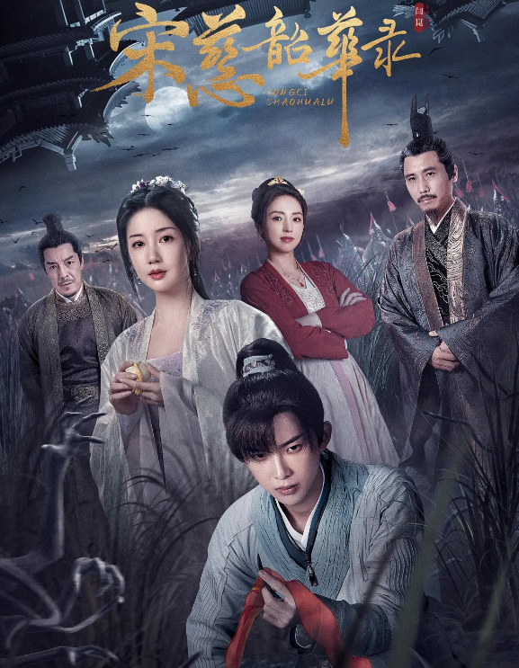 宋慈韶华录的海报-其他海报 中国大陆