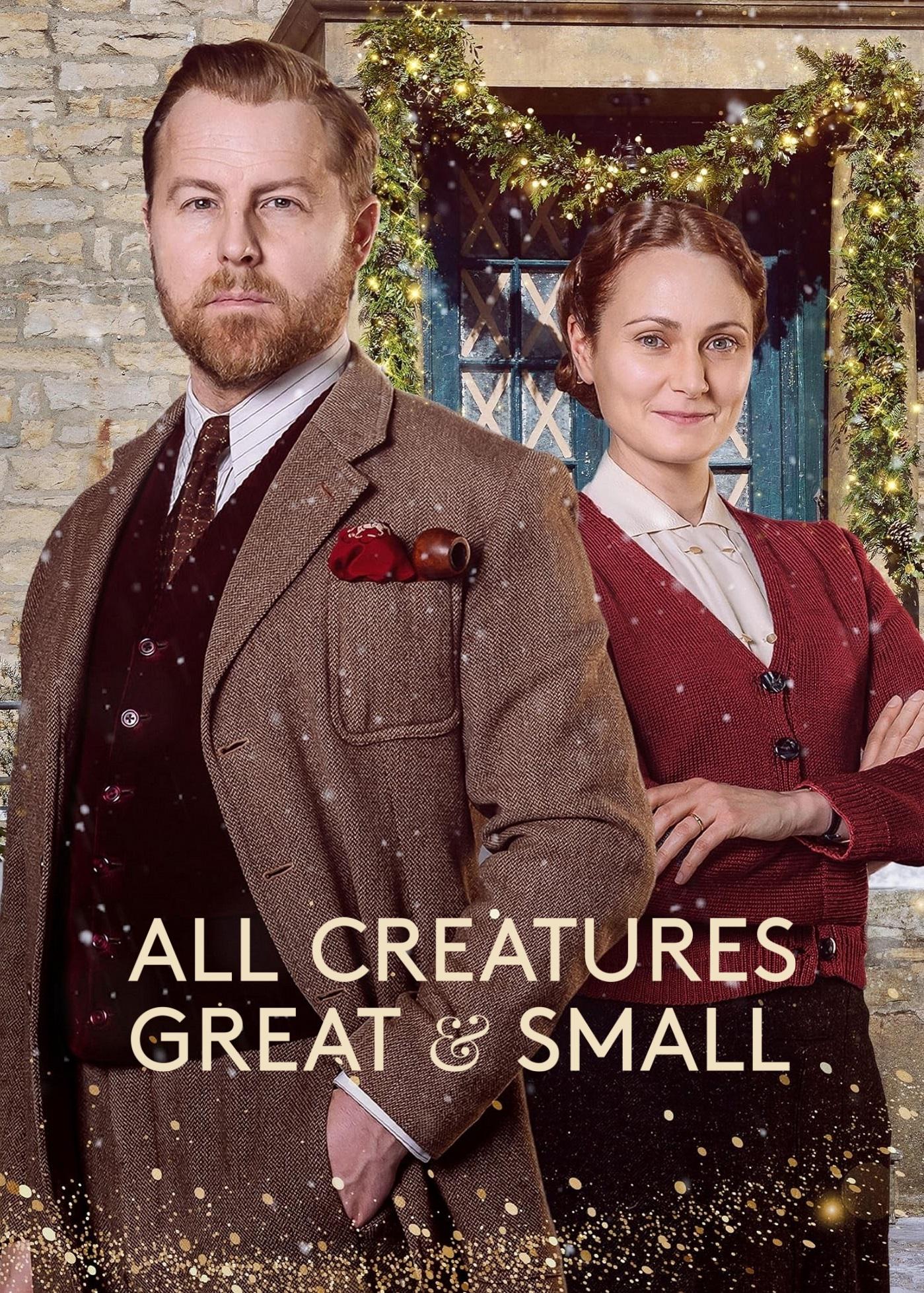 万物生灵：2023圣诞特别集的海报-其他海报