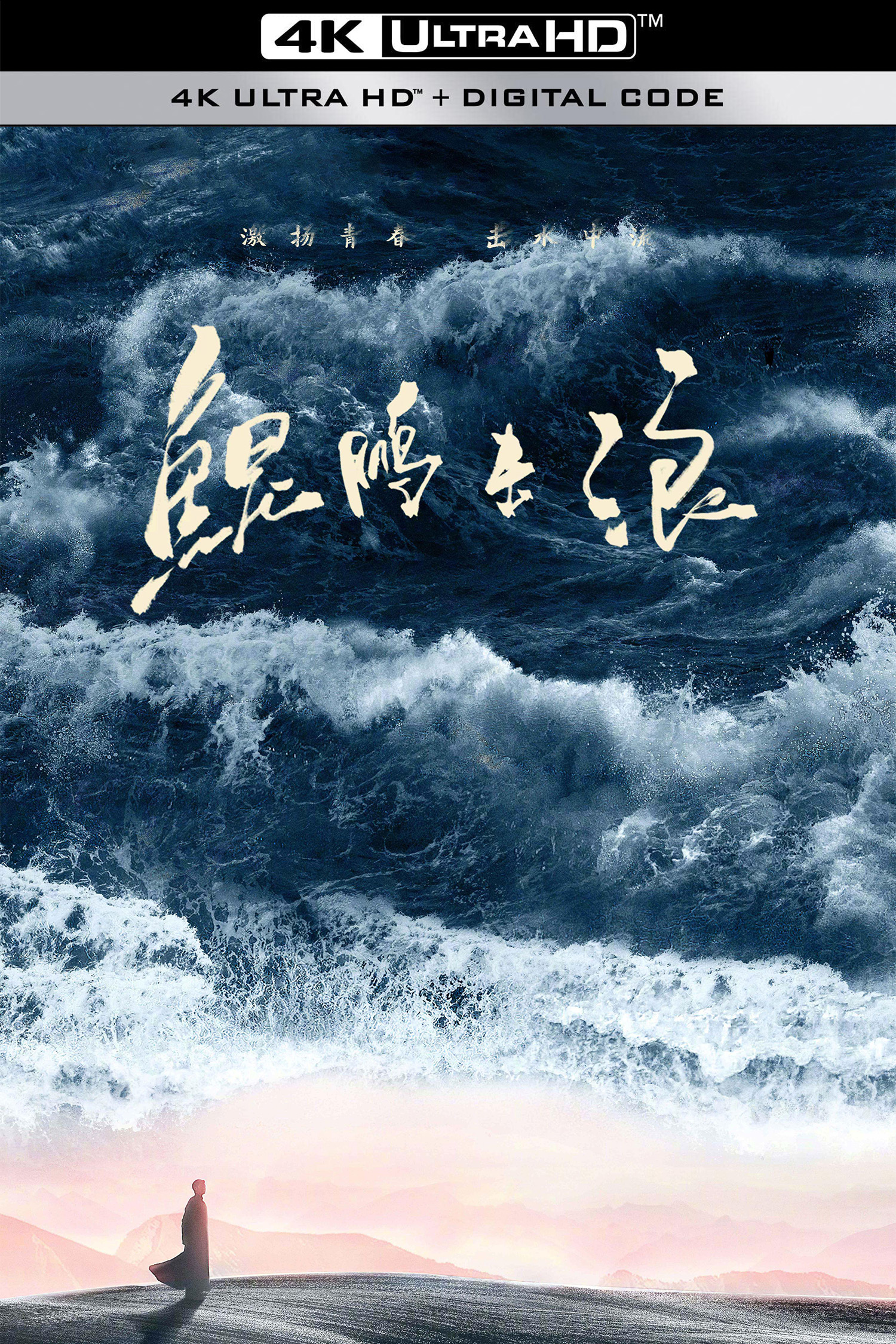 鲲鹏击浪的海报-其他海报