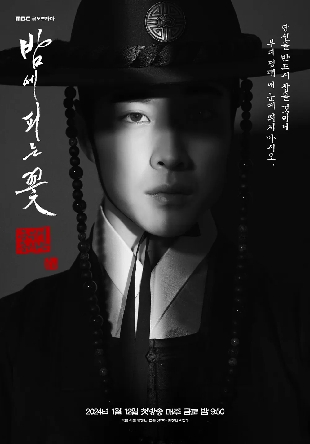 夜晚开的花的海报-角色海报