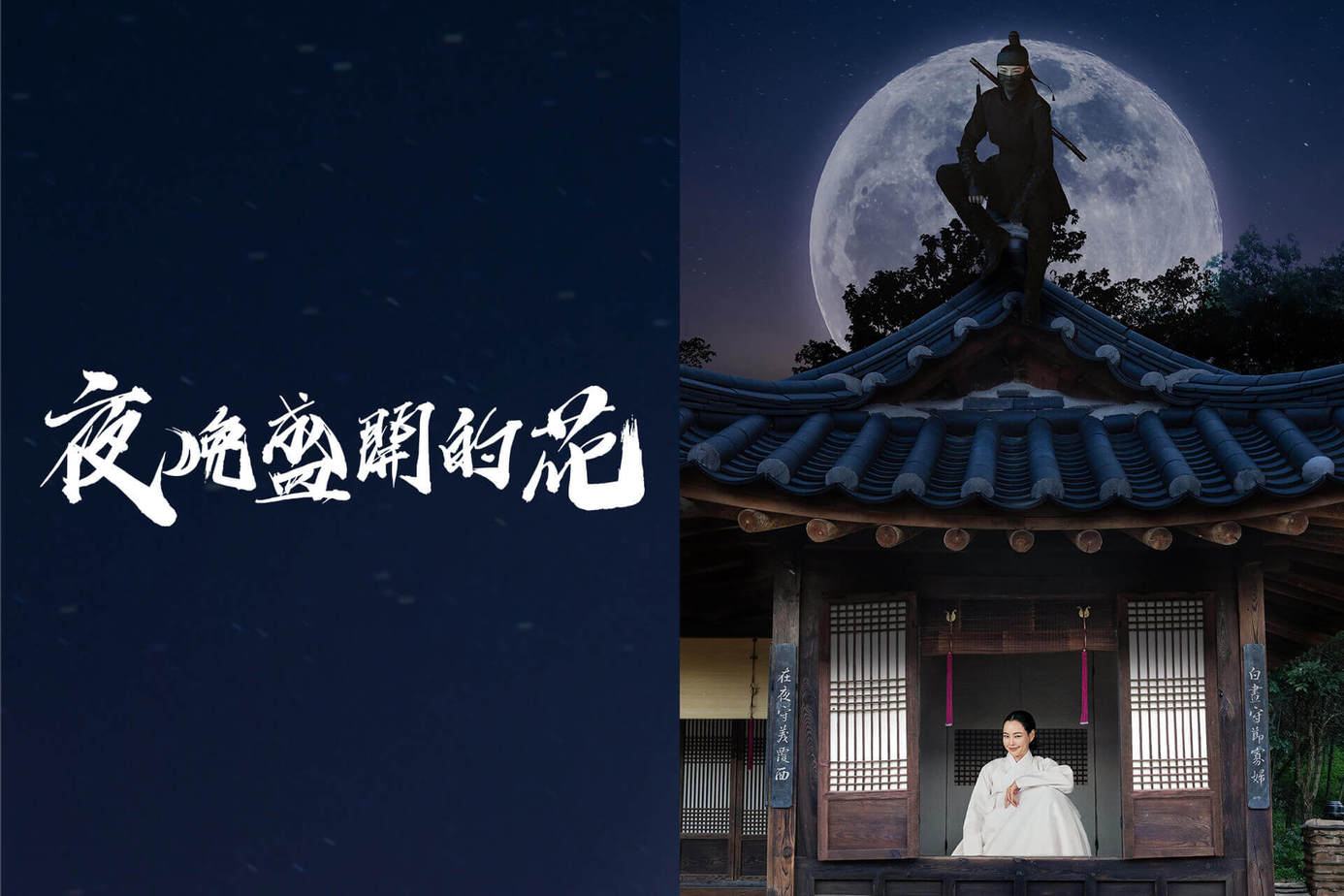 夜晚开的花的海报-正式海报 中国台湾