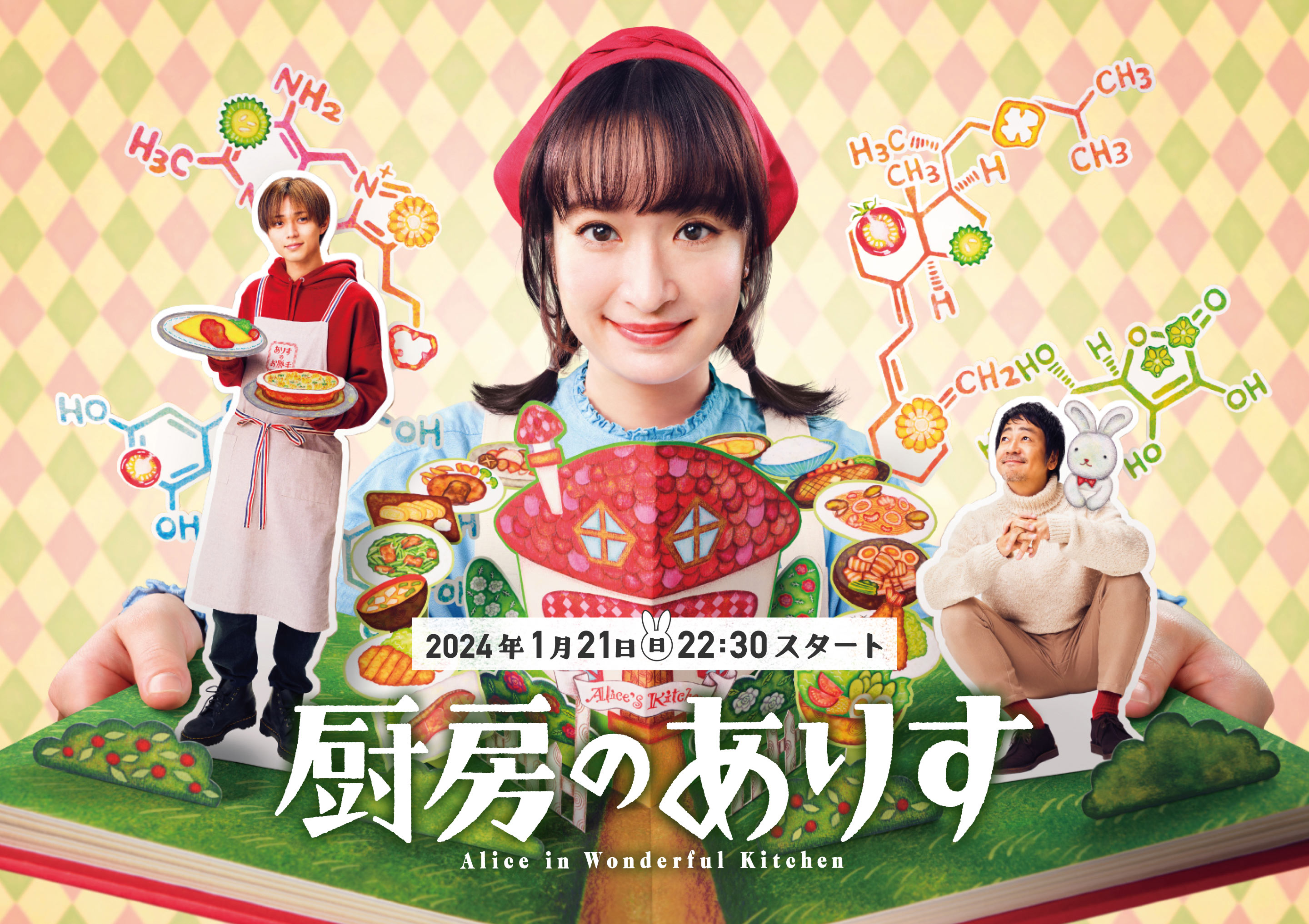 厨房的爱丽丝的海报-正式海报