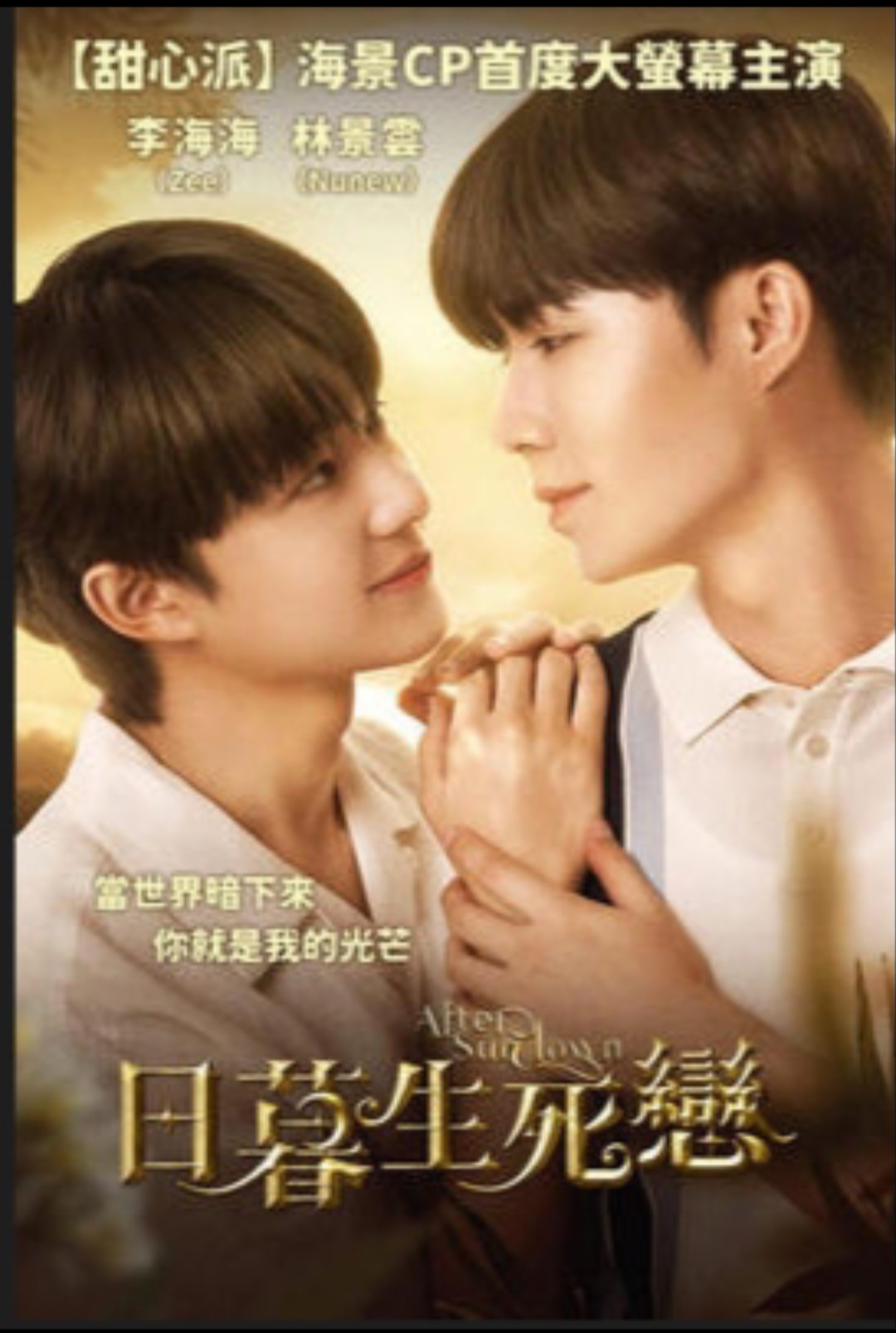 熄灭的日光的海报-预告海报 中国台湾