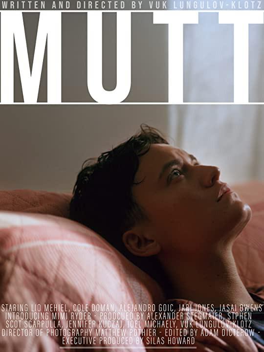 蠢货的海报-正式海报