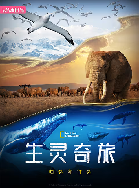 生灵奇旅的海报-正式海报 中国大陆