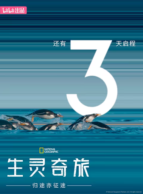 生灵奇旅的海报-预告海报 中国大陆