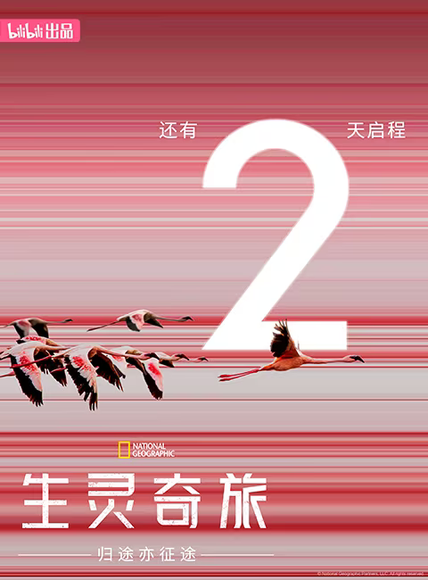 生灵奇旅的海报-预告海报 中国大陆