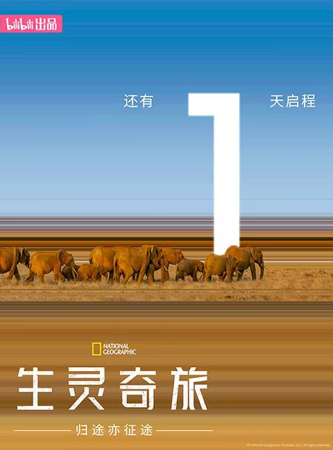 生灵奇旅的海报-预告海报 中国大陆