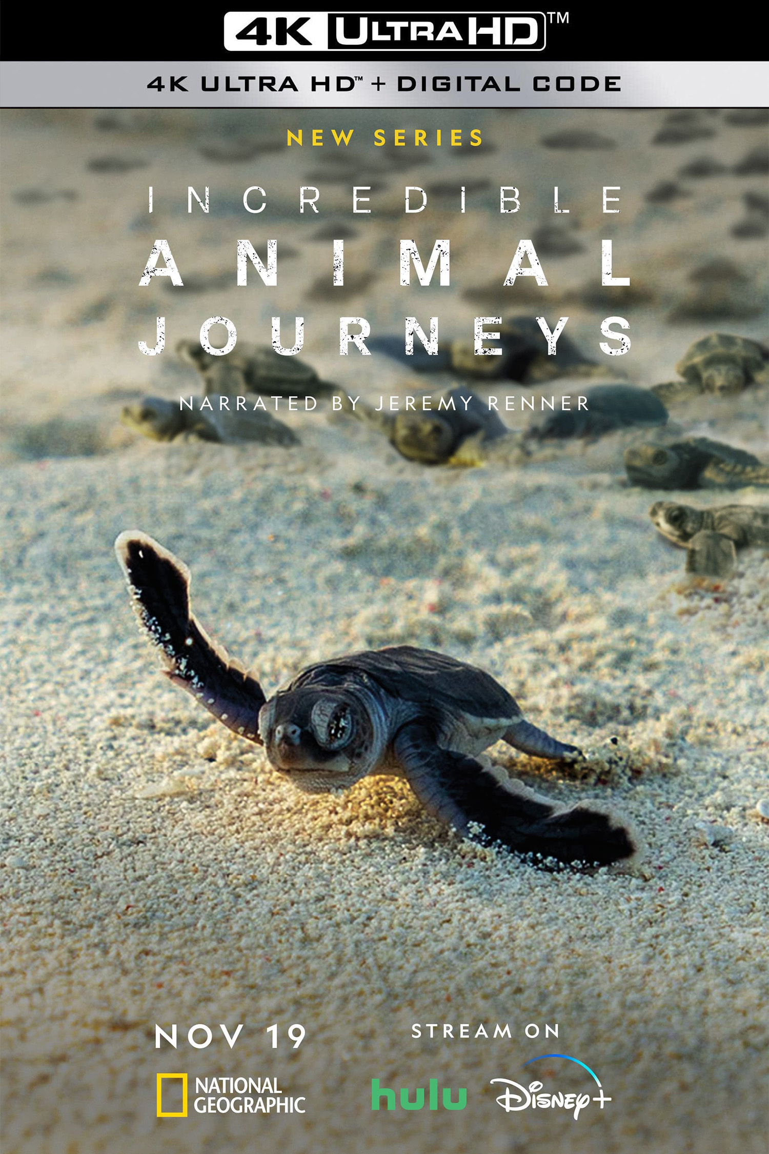 生灵奇旅的海报-其他海报