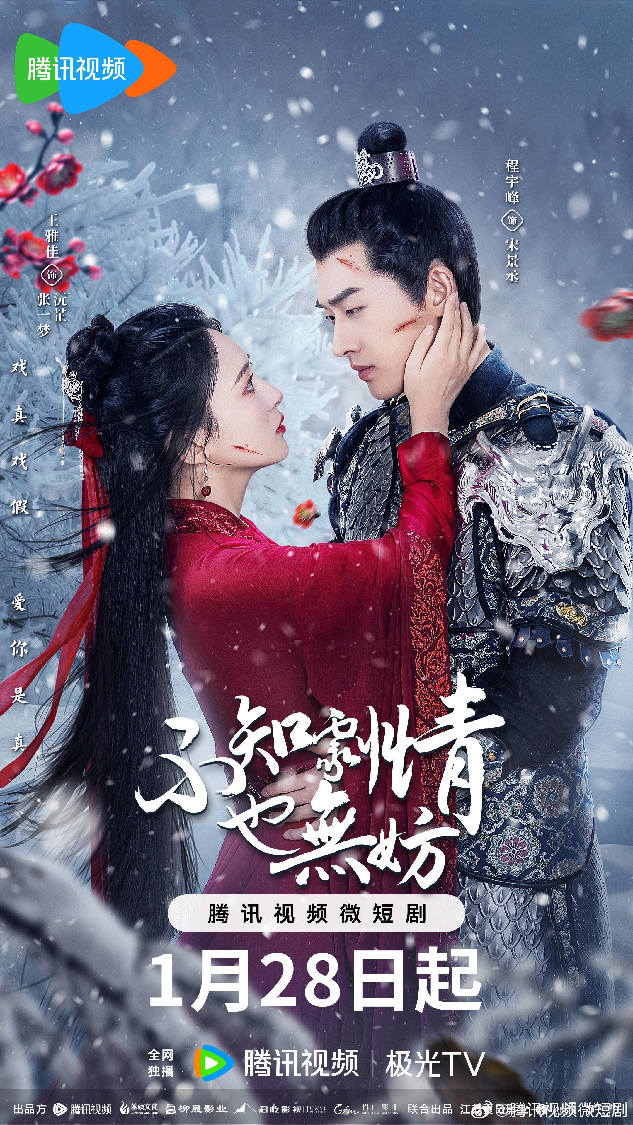 不知剧情也无妨的海报-正式海报