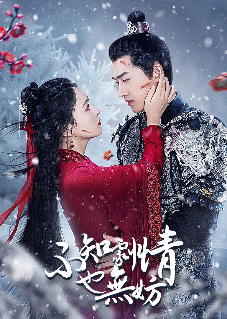 不知剧情也无妨的海报-正式海报