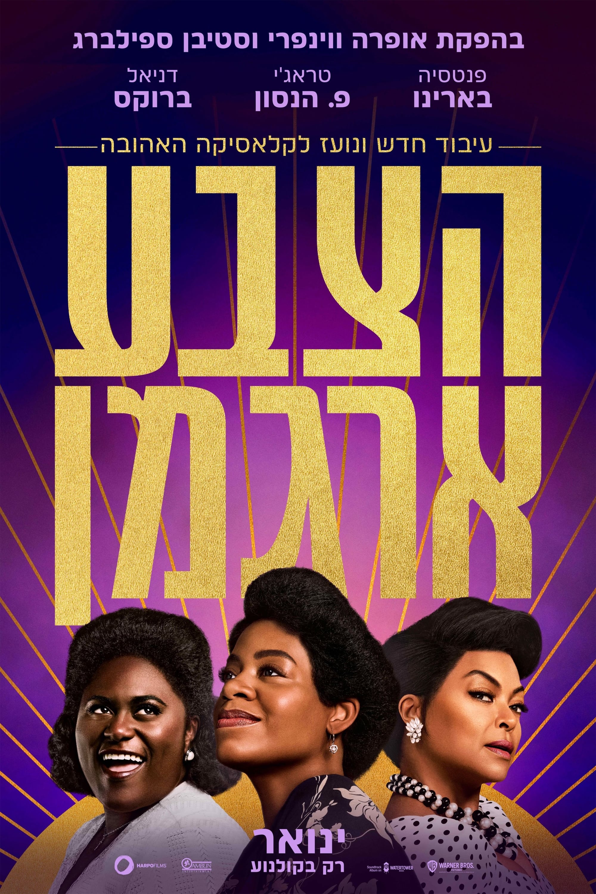 紫色的海报-正式海报