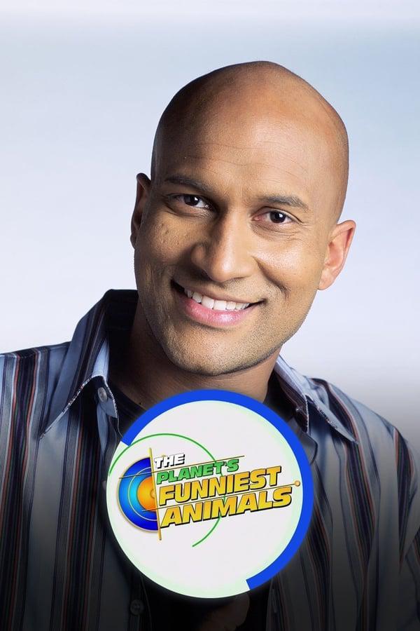 动物星球之世上最搞笑动物录像集锦的海报-正式海报