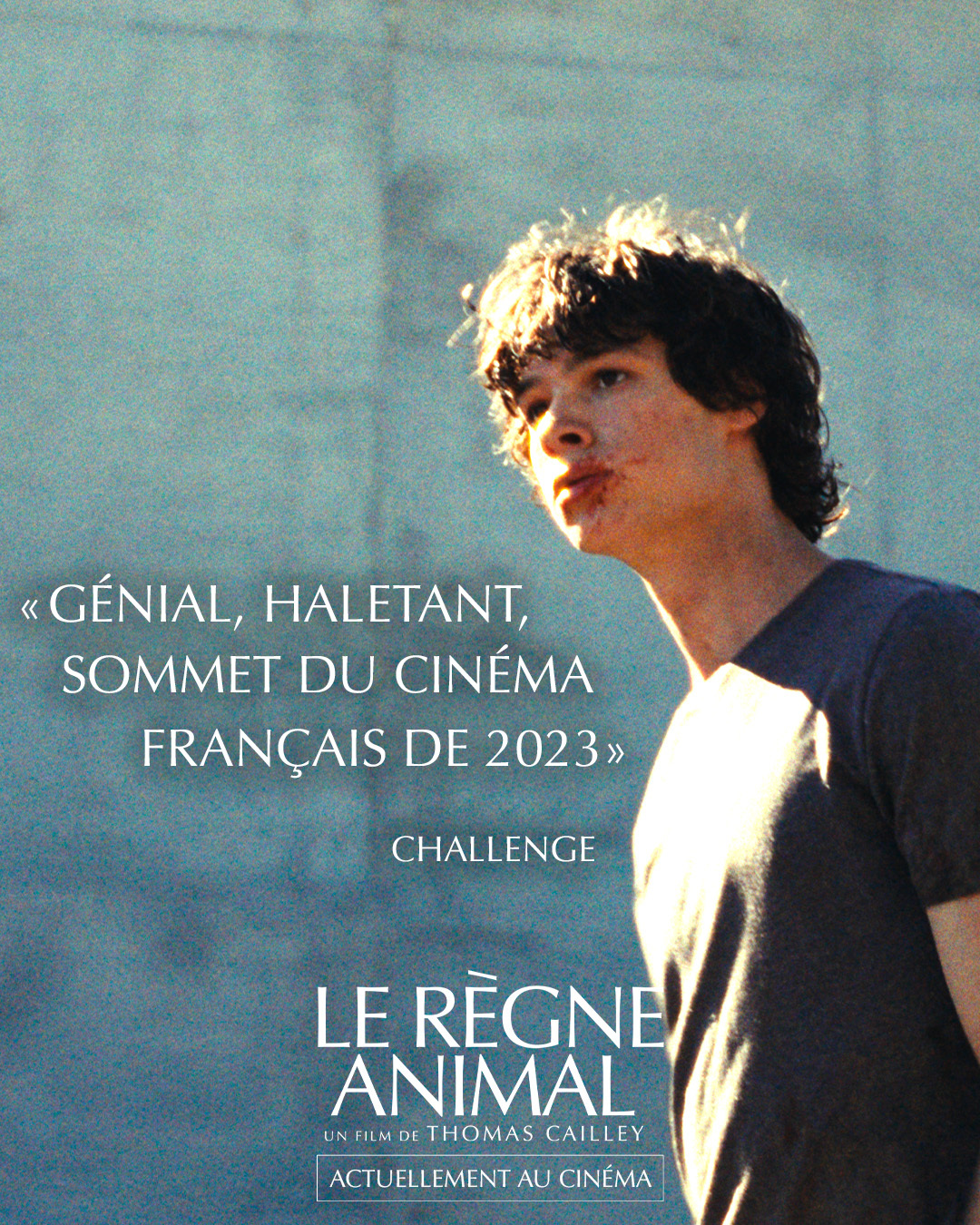 动物王国的海报-预告海报 法国