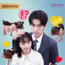 我的老板是小猪