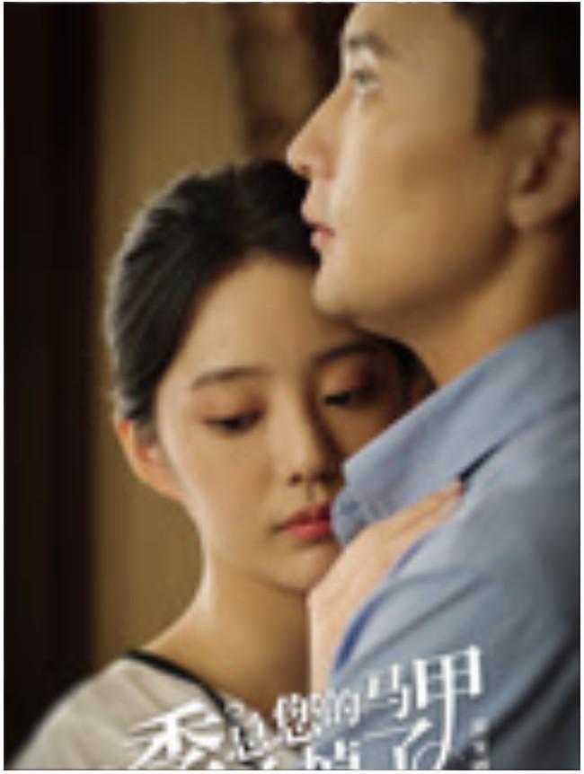 季总您的马甲叒掉了的海报-正式海报