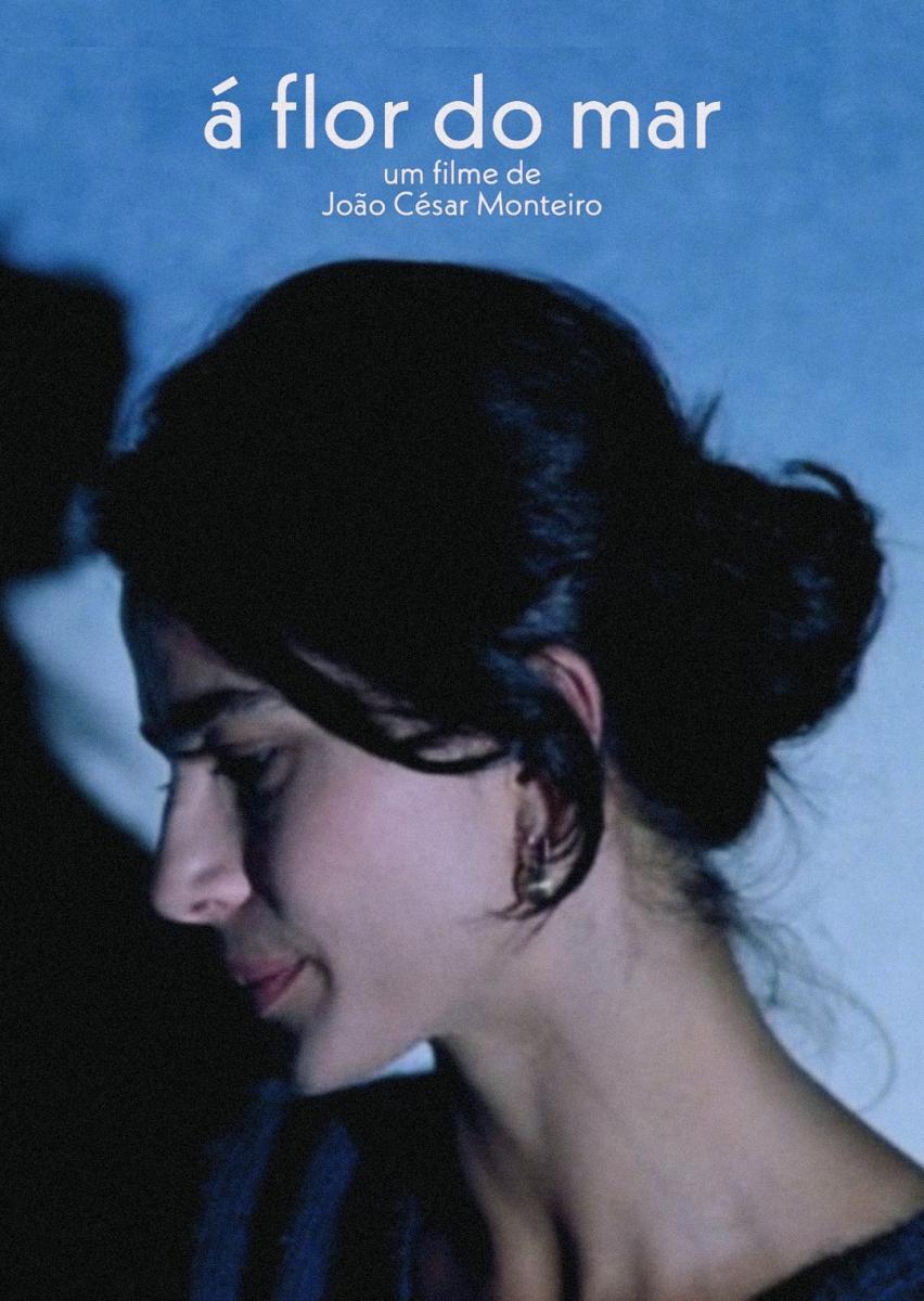 海之花的海报-其他海报