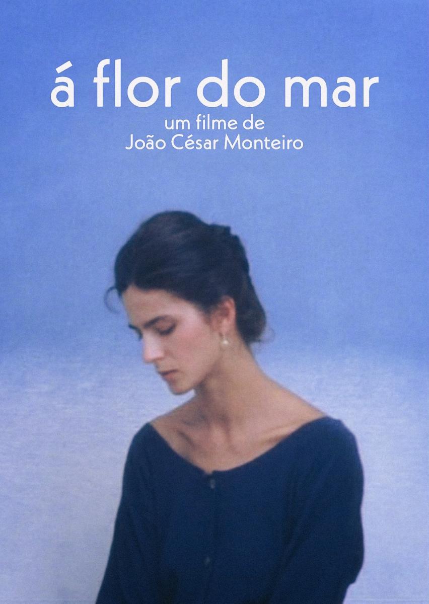 海之花的海报-其他海报