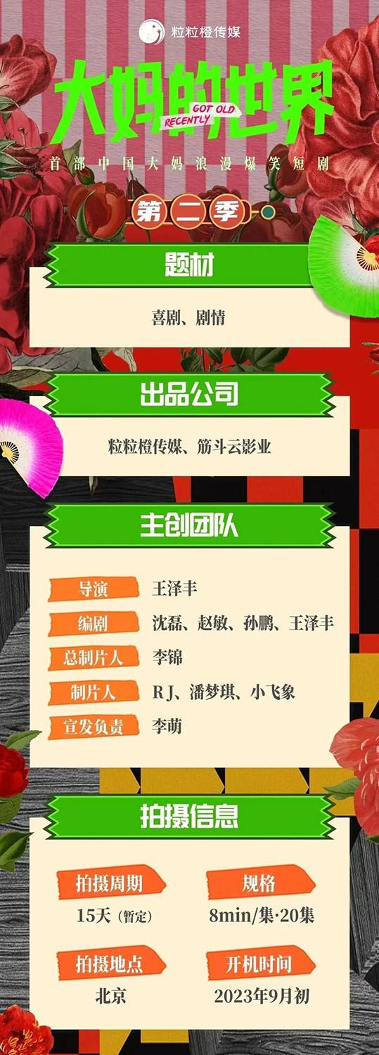 大妈的世界 贺岁篇的海报-正式海报