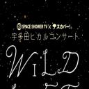 宇多田光 2010暂别歌坛演唱会