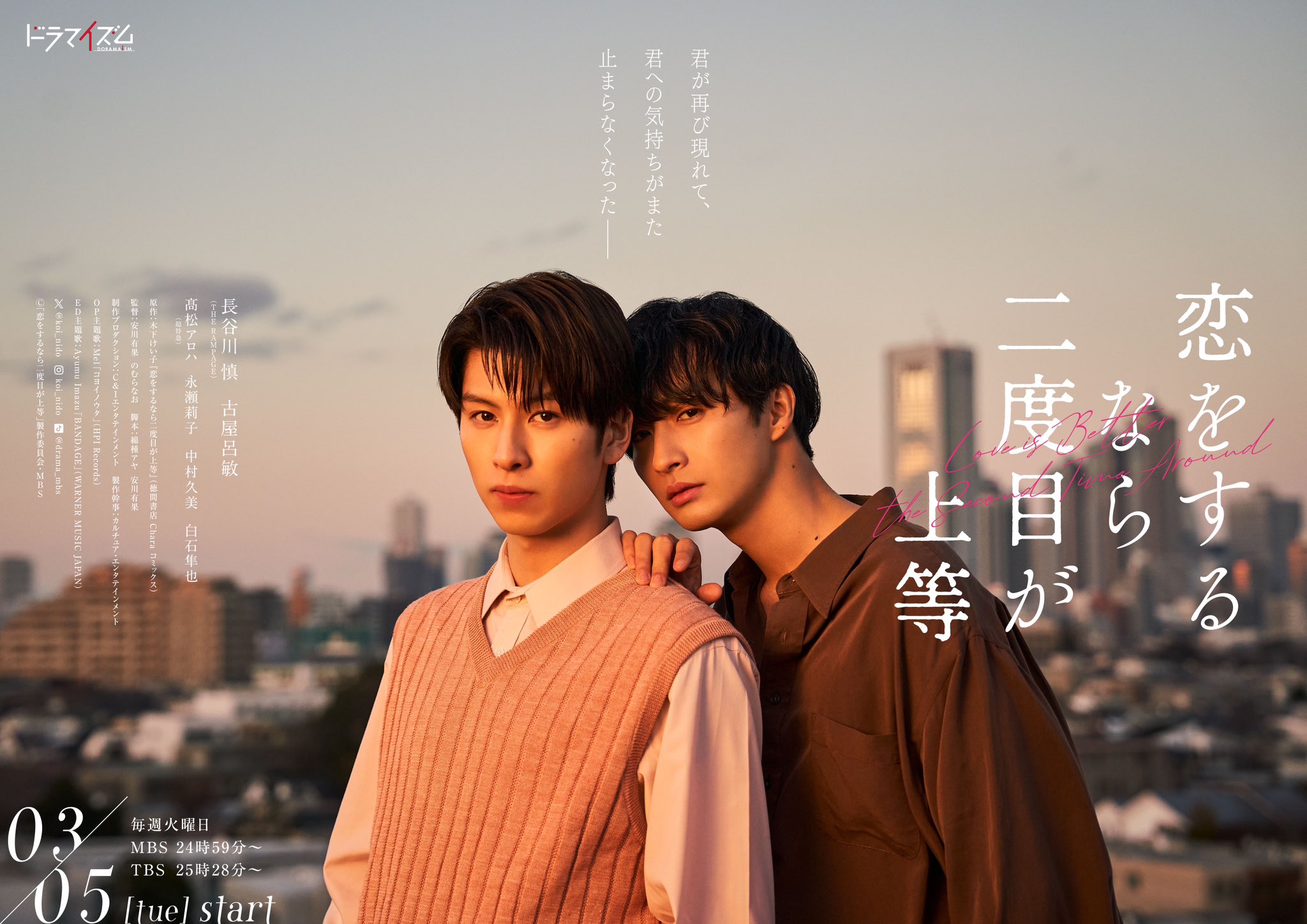 第二次恋爱才完美的海报-正式海报