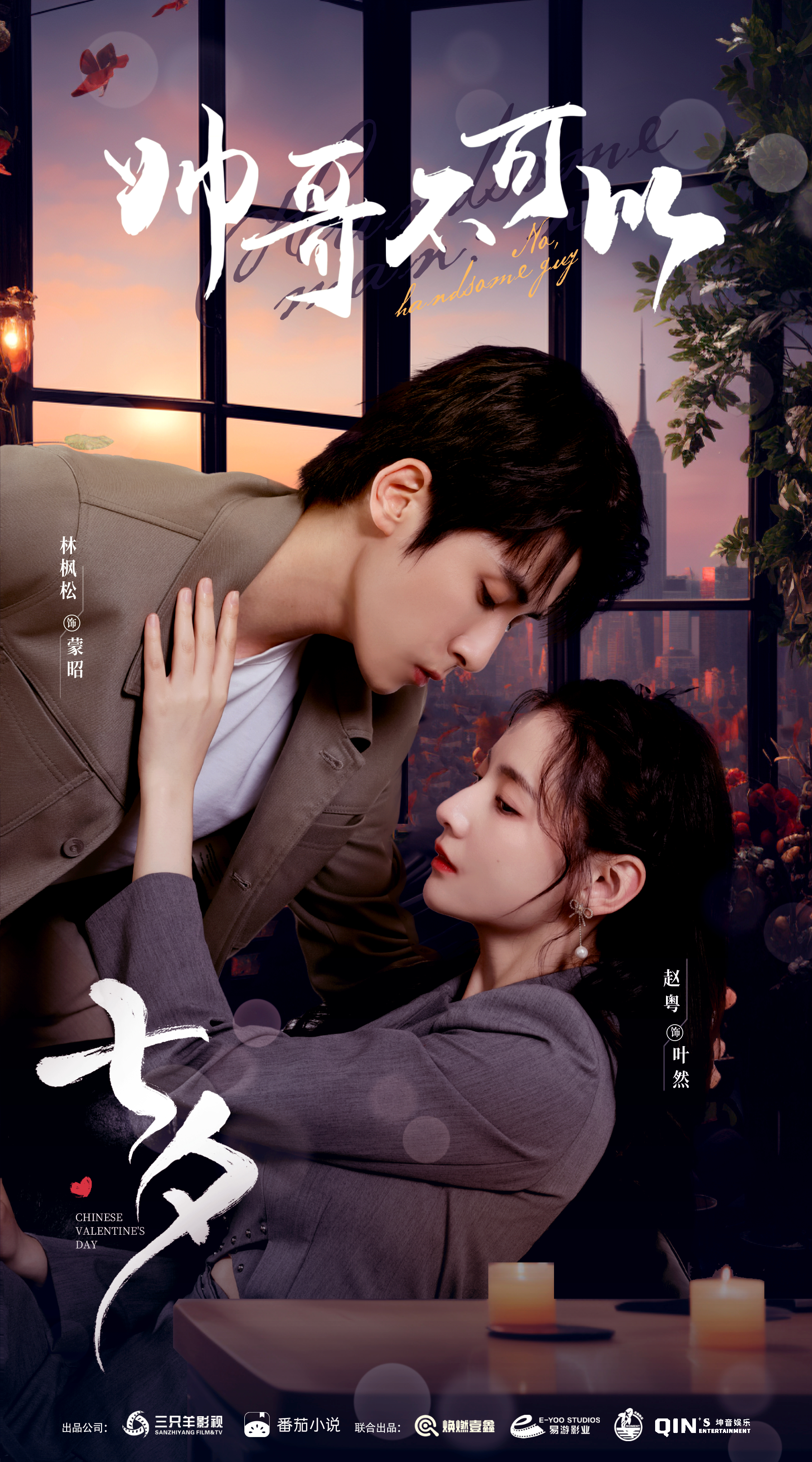 帅哥不可以的海报-预告海报