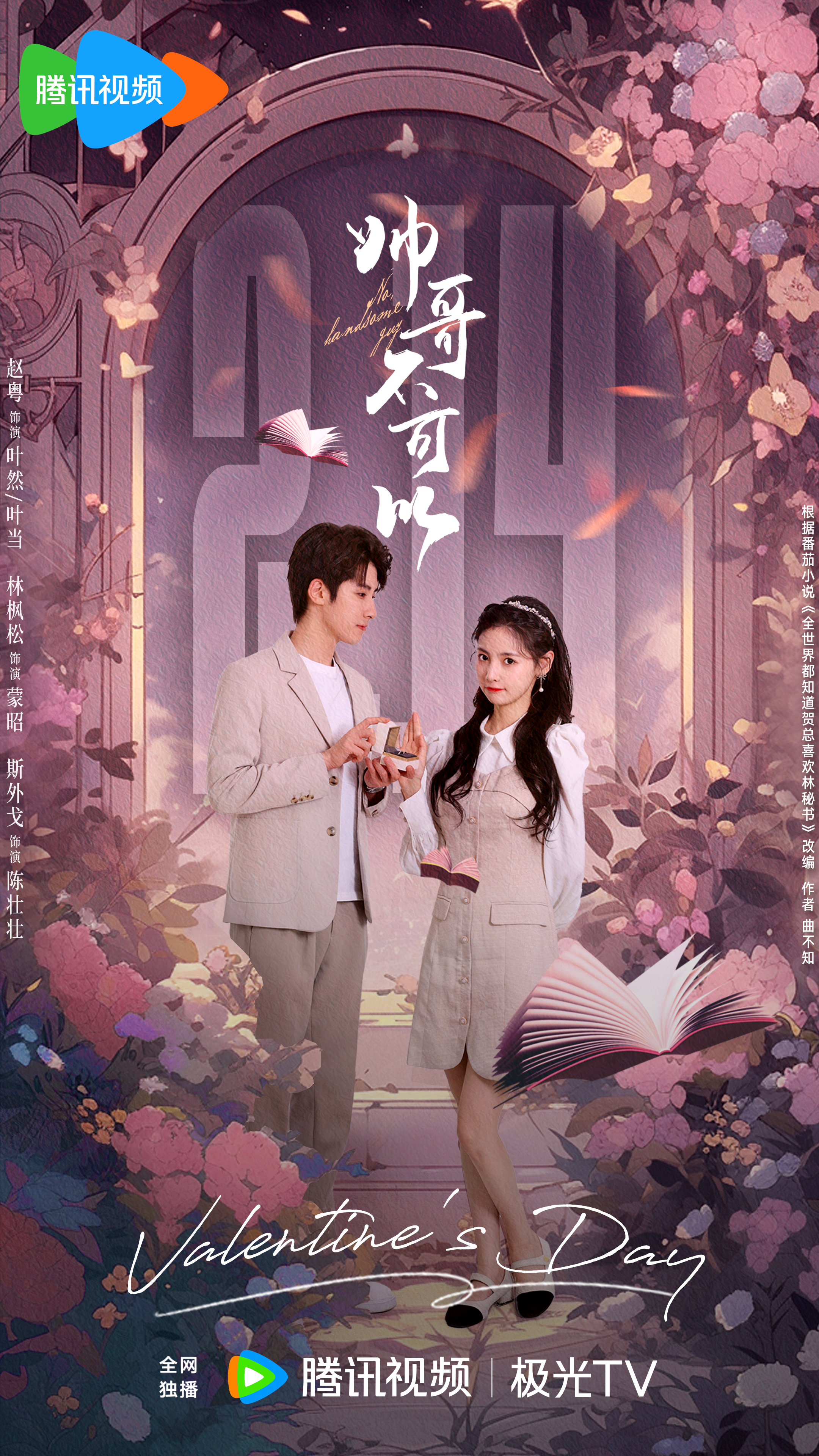 帅哥不可以的海报-预告海报