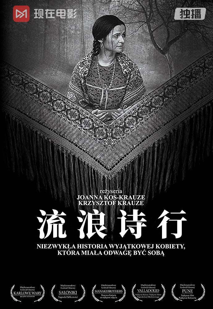 流浪诗行的海报-正式海报 中国大陆