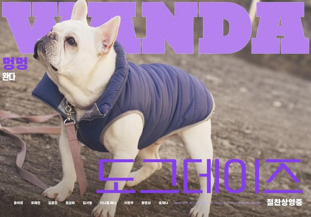 宠爱的海报-角色海报 韩国