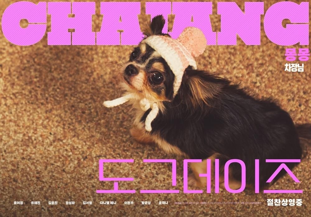 宠爱的海报-角色海报 韩国