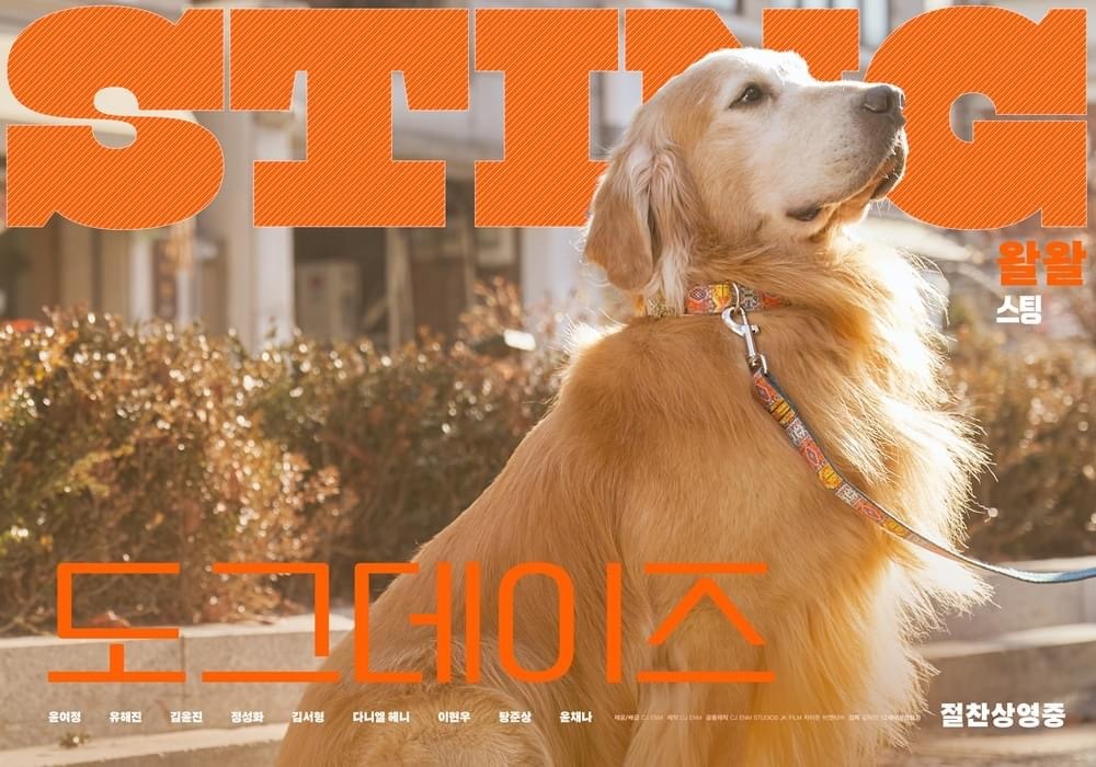 宠爱的海报-角色海报 韩国