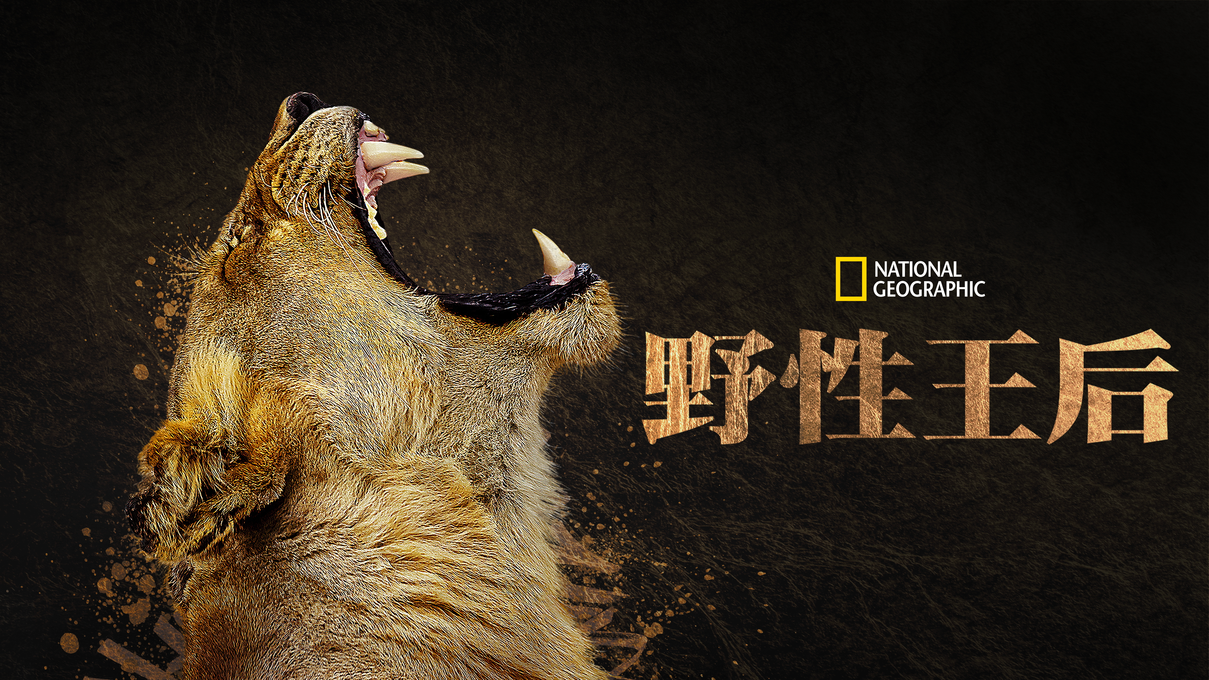 大自然的女王的海报-正式海报 中国大陆