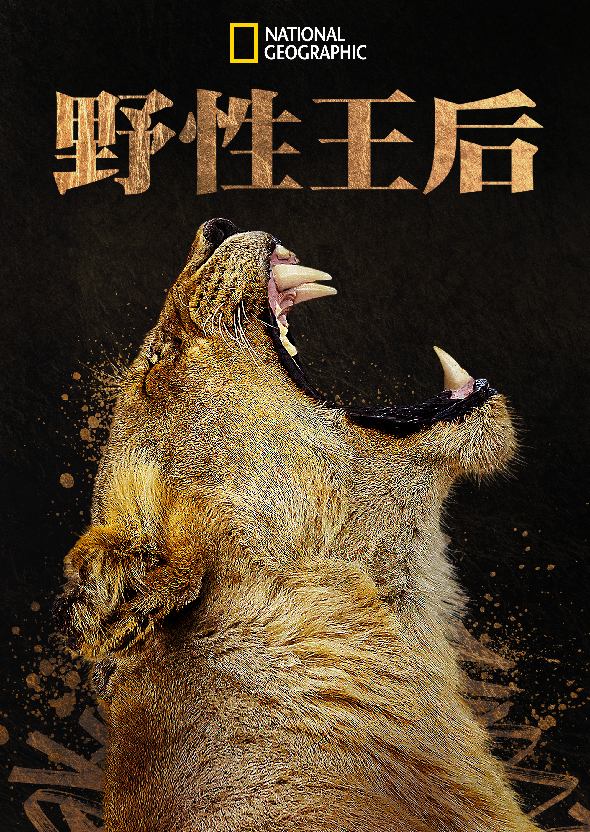 大自然的女王的海报-正式海报 中国大陆