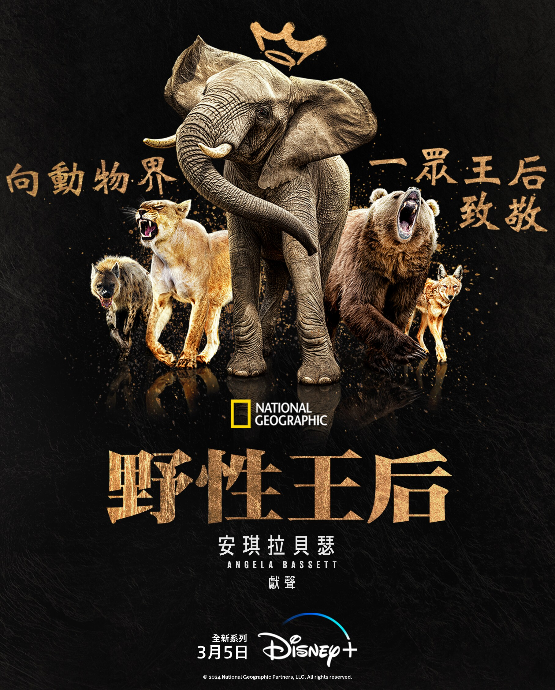 大自然的女王的海报-正式海报 中国台湾