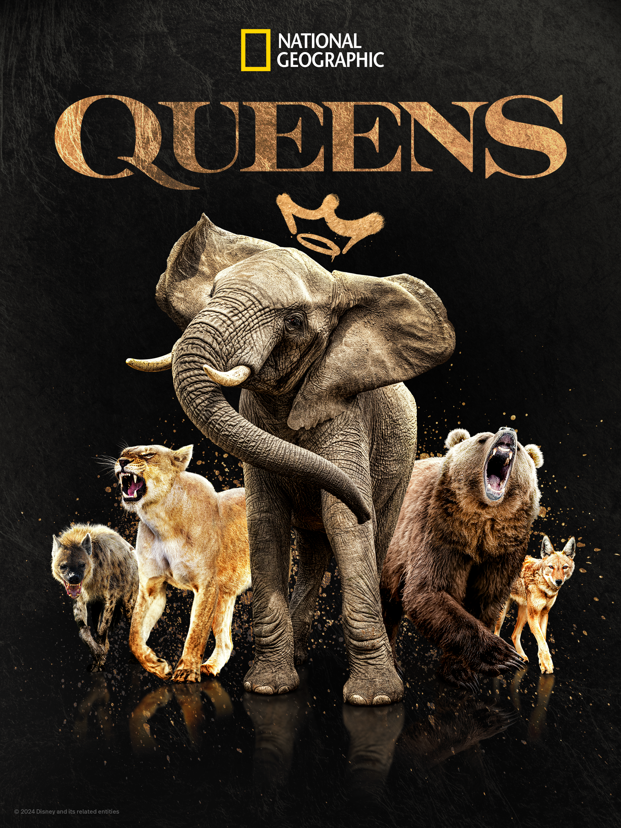 大自然的女王的海报-其他海报