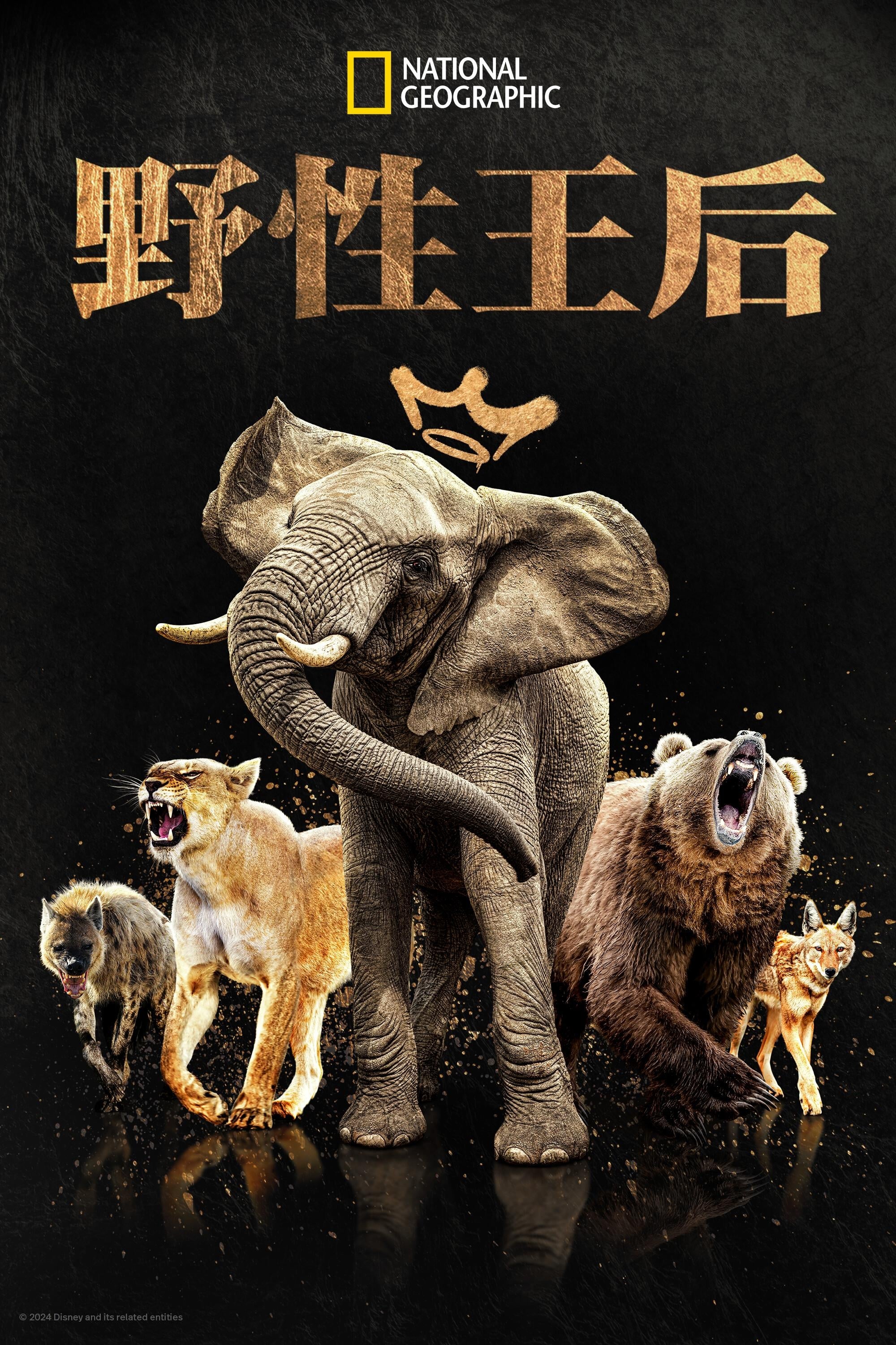 大自然的女王的海报-其他海报