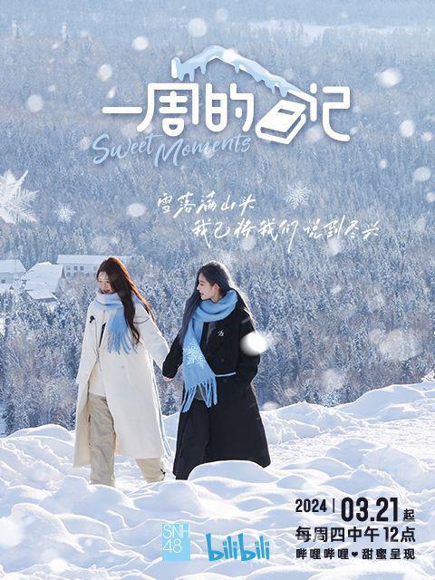 一周的日记的海报-正式海报