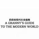 奶奶的现代社会指南
