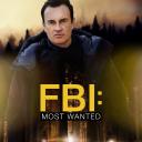 联邦调查局：通缉要犯 第三季