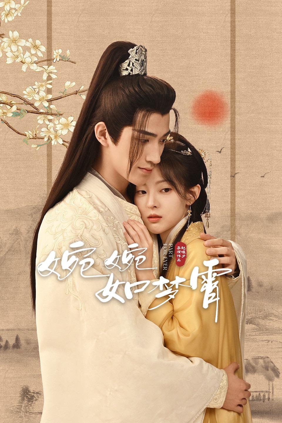 婉婉如梦霄的海报-正式海报